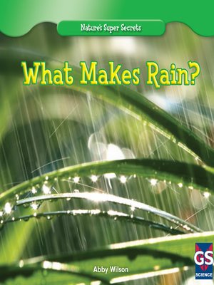 cover image of What Makes Rain?